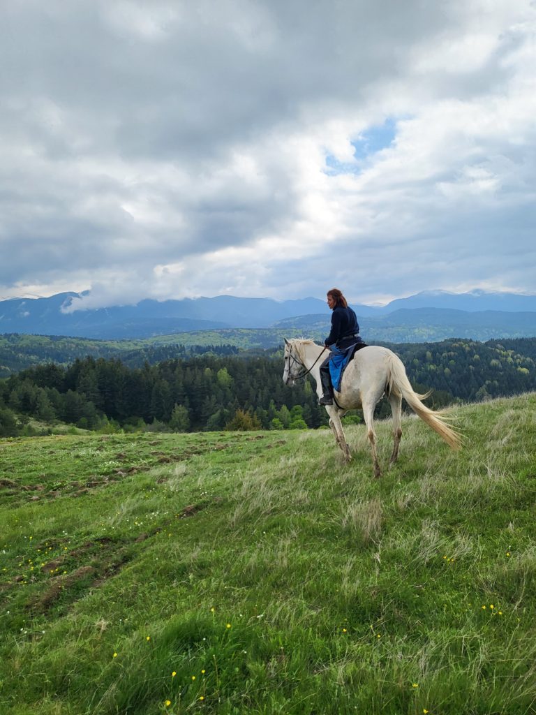 konna-ezda-v-borovets2