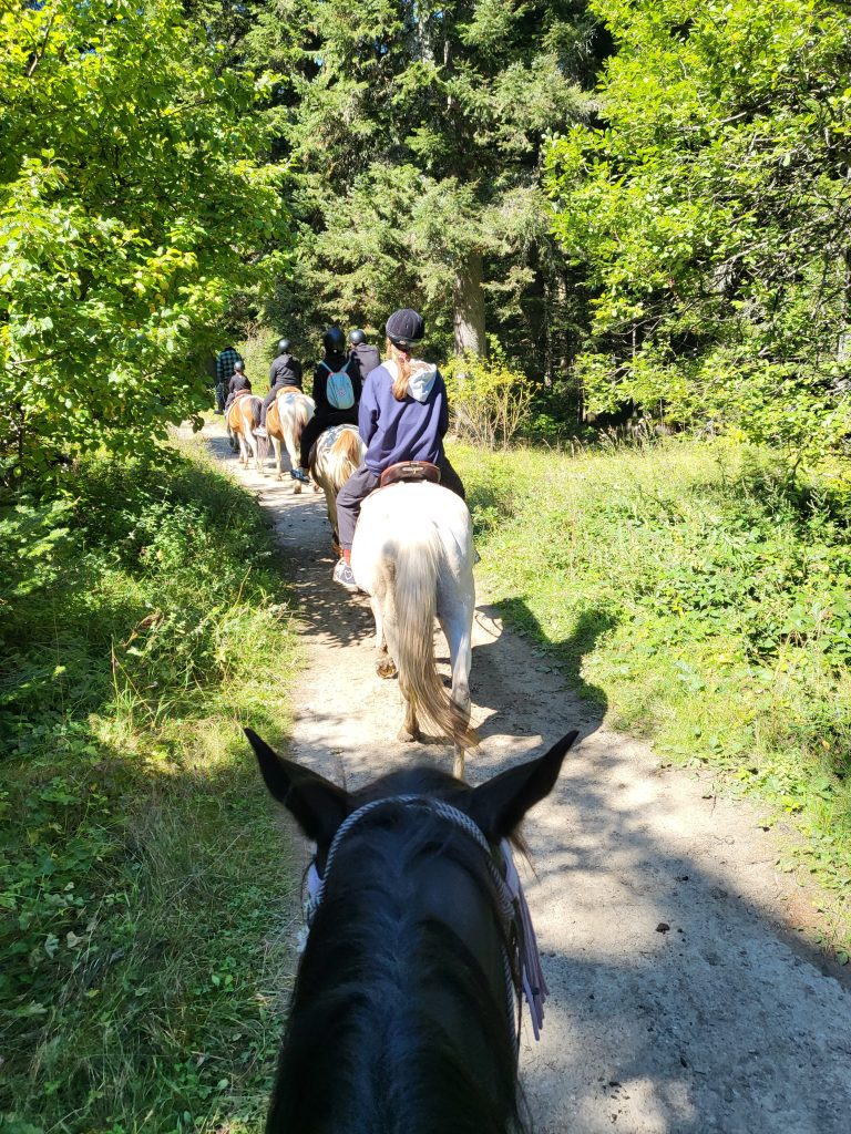 konna-ezda-v-borovets5